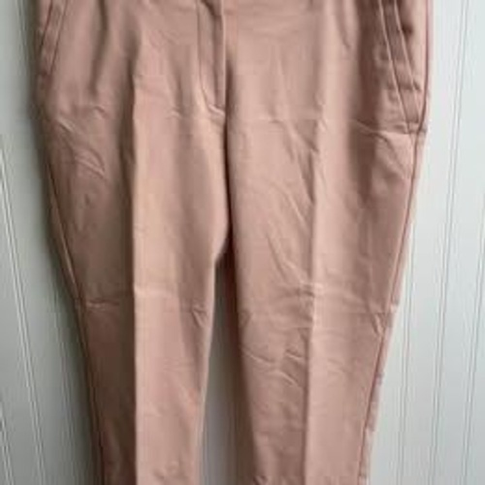 Loft Modern Skinny Ankle Pants Blush Pink Size 14 Trousers Office Casual